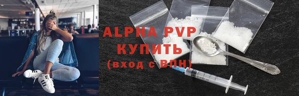 гидра Ельня