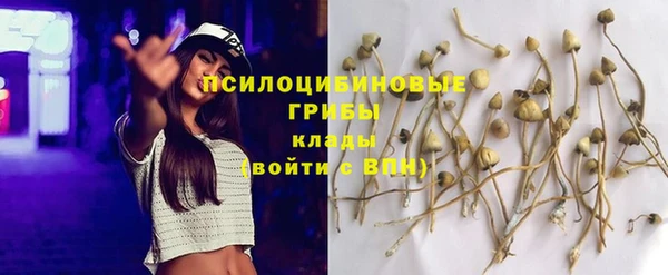 гидра Ельня