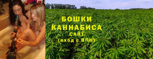 бошки Елабуга
