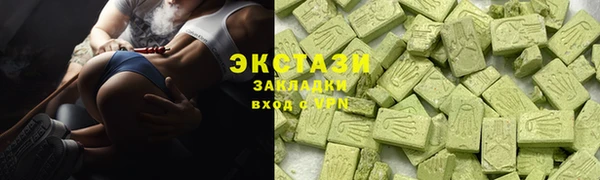гидра Ельня