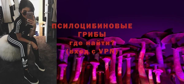 мет Елизово