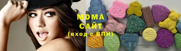 гидра Ельня