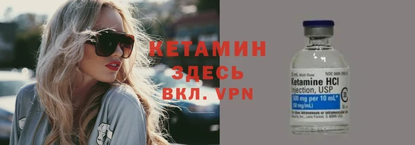 гидра Ельня