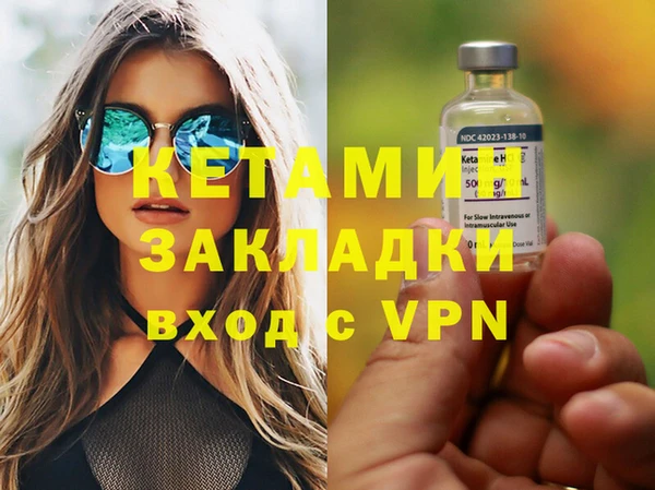 гидра Ельня