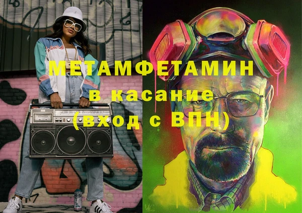 гидра Ельня