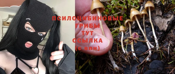мет Елизово