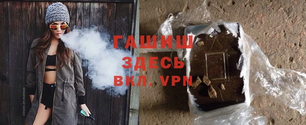 гидра Ельня