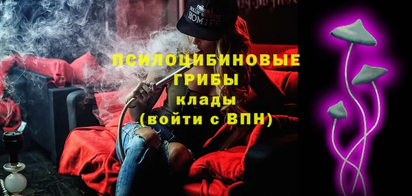 бошки Елабуга