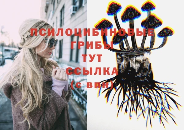 гидра Ельня