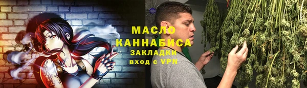 гидра Ельня
