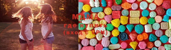 гидра Ельня