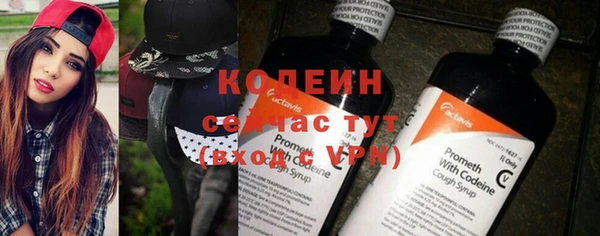 гидра Ельня