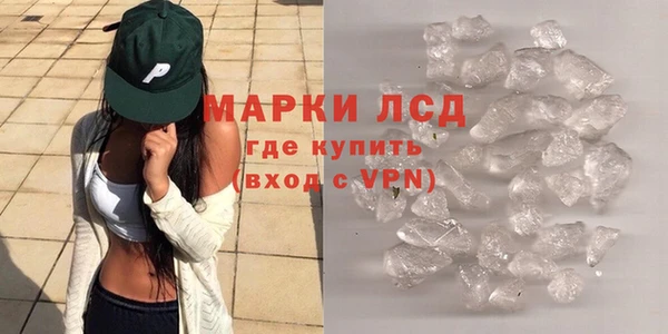 гидра Ельня