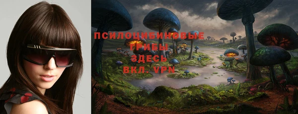 гидра Ельня