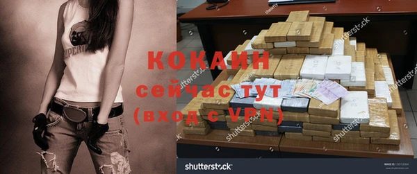 мет Елизово